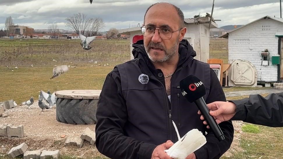 kutahyanin guvercin sevdalilari 5 zQw41wHf