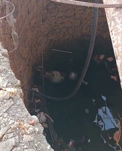 Kuyuya düşen keçiyi itfaiye kurtardı 6 kuyuya dusen keciyi itfaiye kurtardi 2 DSLzg84k