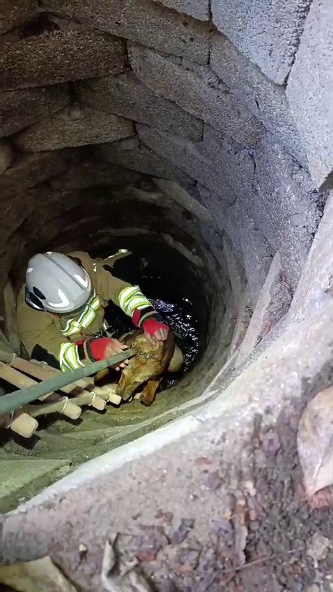 kuyuya dusen kopegi itfaiye kurtardi 0 yUHOfCGL