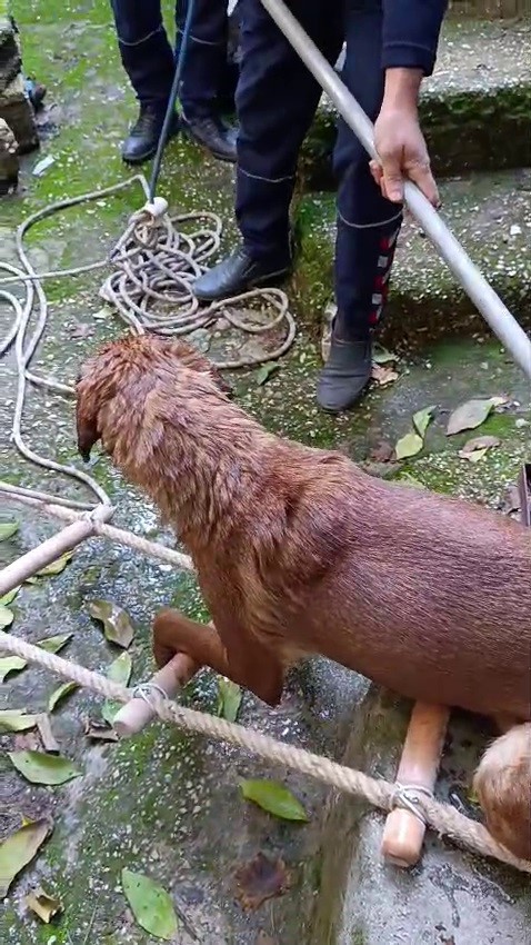 kuyuya dusen kopegi itfaiye kurtardi 1 TyQwMFUn