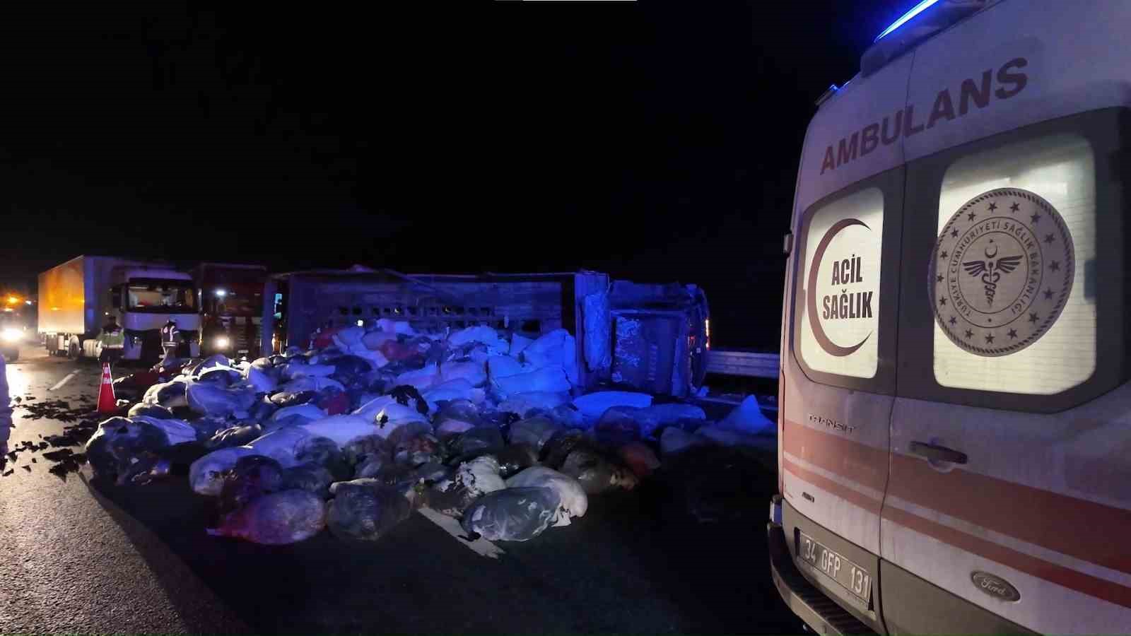 kuzey marmara otoyolunda kamyonet devrildi 2 yarali 0