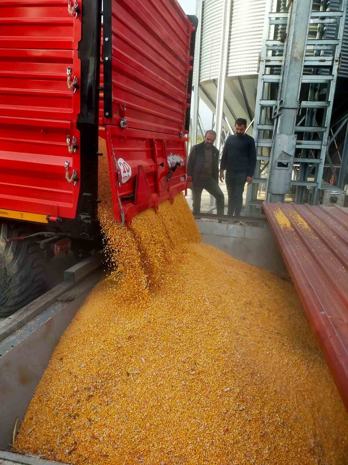 kuzkanin destegiyle kurulan misir kurutma tesisi ile ciftciler urunlerini degerinde satabilecek 6