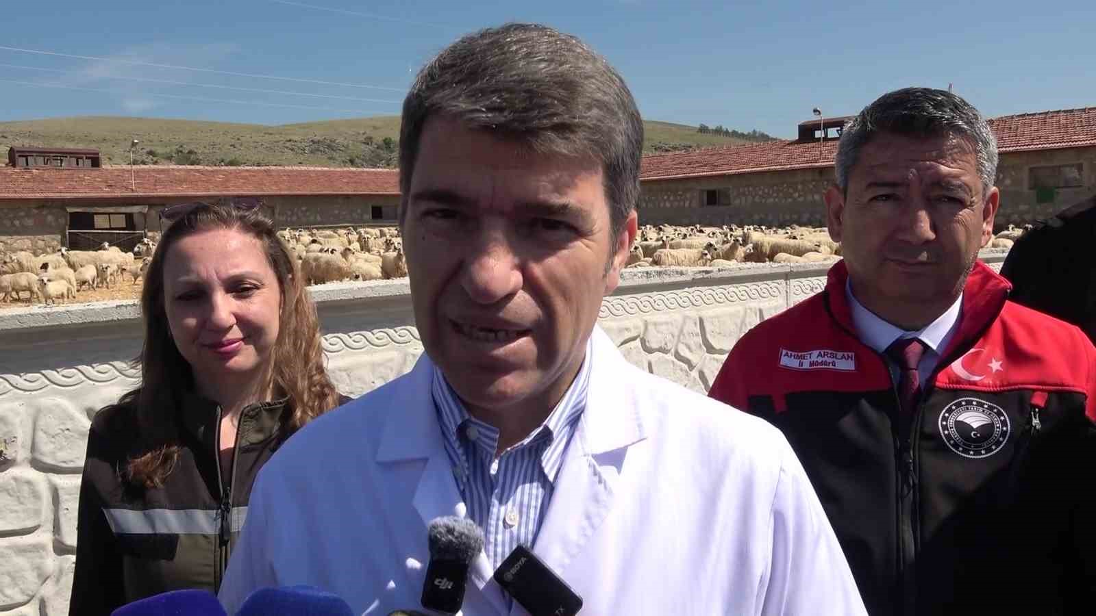 Kuzular anneleriyle buluştu, sevgi yumağı dron kamerasında 11 kuzular anneleriyle bulustu sevgi yumagi dron kamerasinda 7 zm7u2uhn