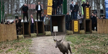 kuzuyaylanin-gpsli-geyikleri-Zq8C2GWH.jpg