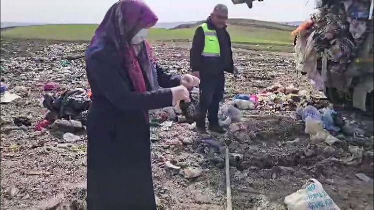 lahana posetinde sakladigi altinlari cope atildi 0 GFMO8Auv