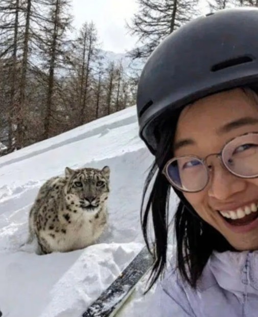 leoparla selfie cekmek istedi olumden son anda kurtuldu 1 2lWrdDEp