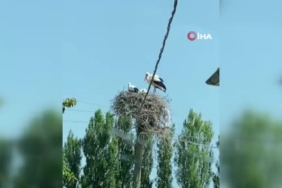 Geceyi aydınlatan doğa şöleni: Elazığ’da eşsiz bulut manzarası 2 thumbnail