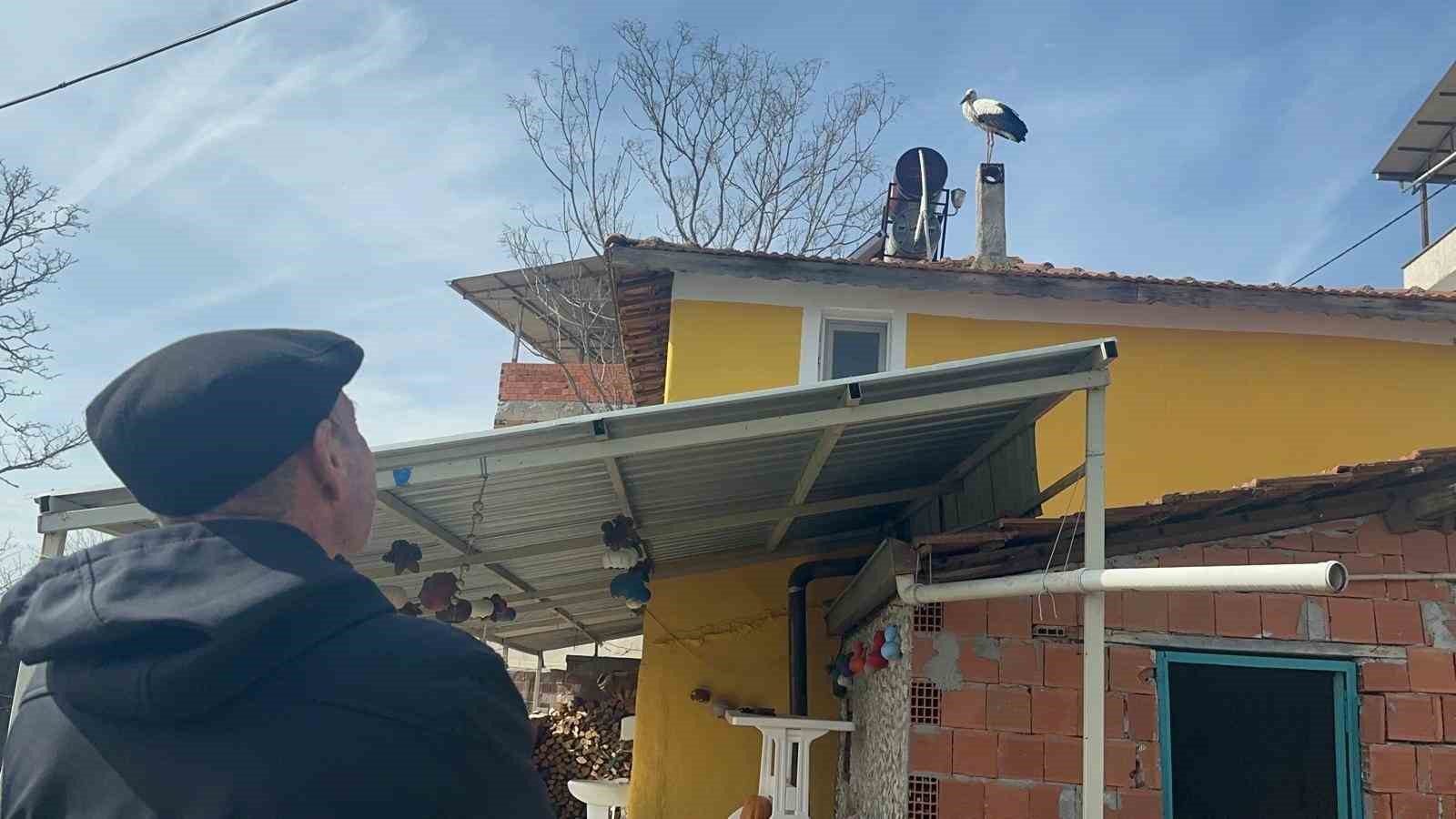 leylek koyunde buyuk sevinc esi geldi herkes yareni bekliyor 0 vjzhsZqj