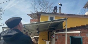 leylek-koyunde-buyuk-sevinc-esi-geldi-herkes-yareni-bekliyor-Ipulvt2c.jpg