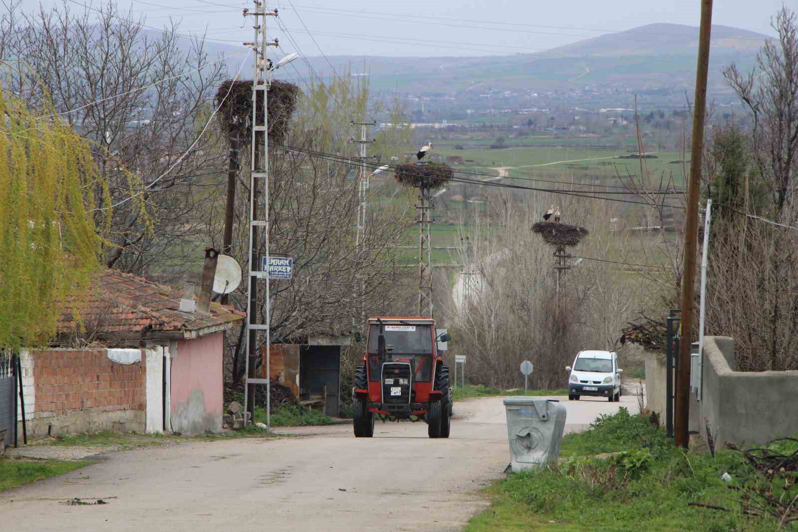 Leyleklere ‘Saygılı’ köy: Bütün elektrik direkleri yuva oldu, leylekler için tedbir alındı 5 leyleklere saygili koy butun elektrik direkleri yuva oldu leylekler icin tedbir alindi 1