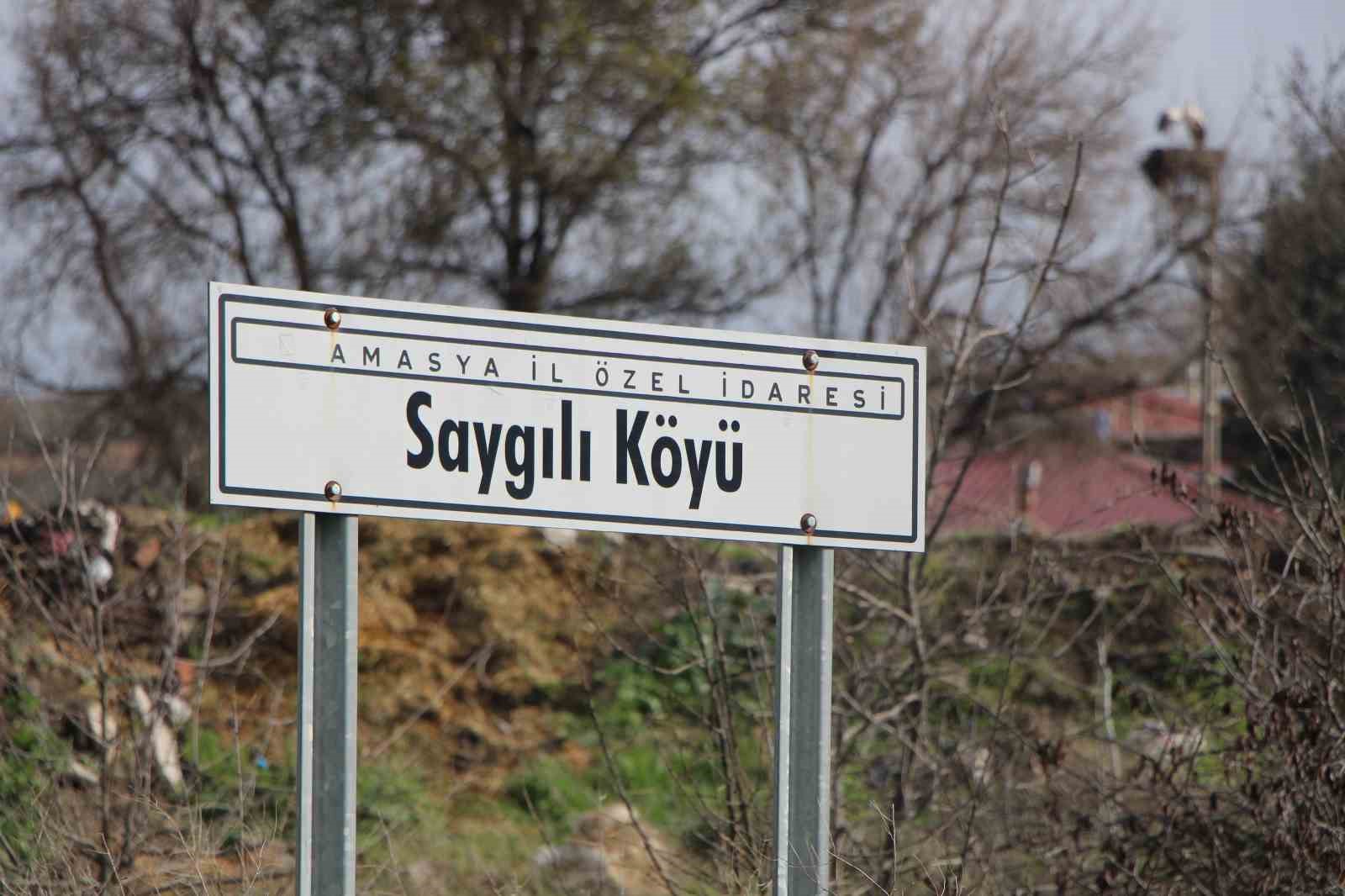 Leyleklere ‘Saygılı’ köy: Bütün elektrik direkleri yuva oldu, leylekler için tedbir alındı 7 leyleklere saygili koy butun elektrik direkleri yuva oldu leylekler icin tedbir alindi 3 l2NJqG2n