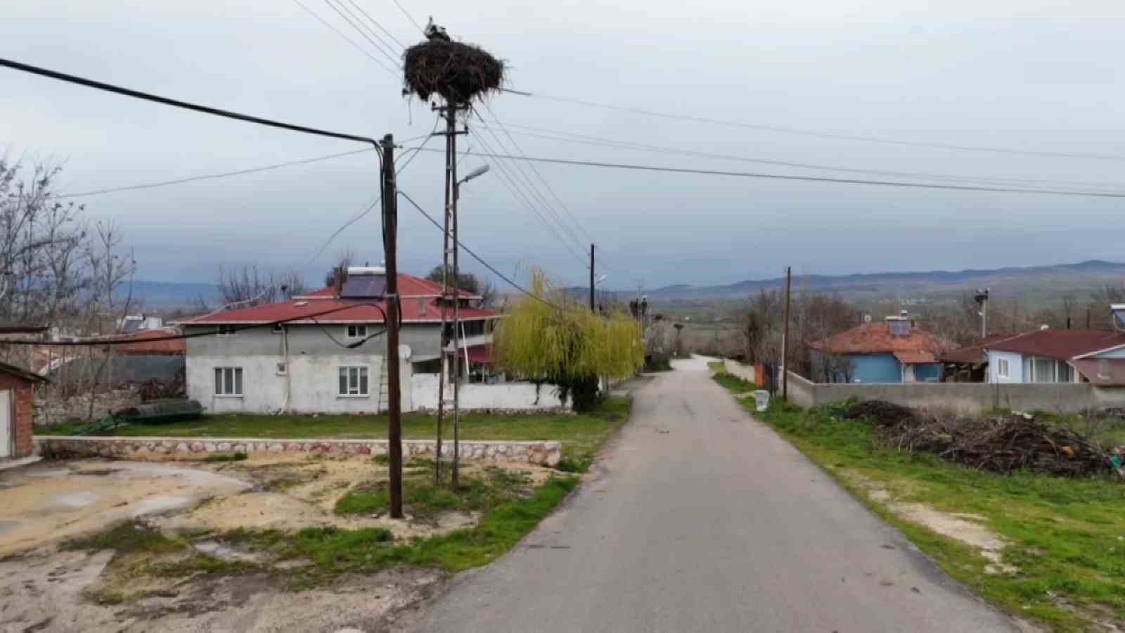 Leyleklere ‘Saygılı’ köy: Bütün elektrik direkleri yuva oldu, leylekler için tedbir alındı 11 leyleklere saygili koy butun elektrik direkleri yuva oldu leylekler icin tedbir alindi 7 z3HWeuNz