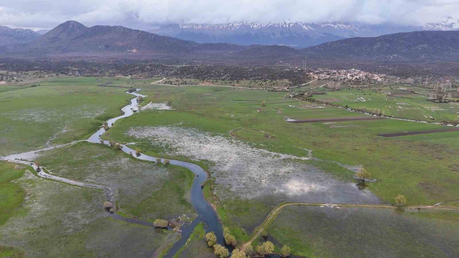 leyleklerin duragi yemyesil goruntusuyle mest ediyor 5 63ALbhfc