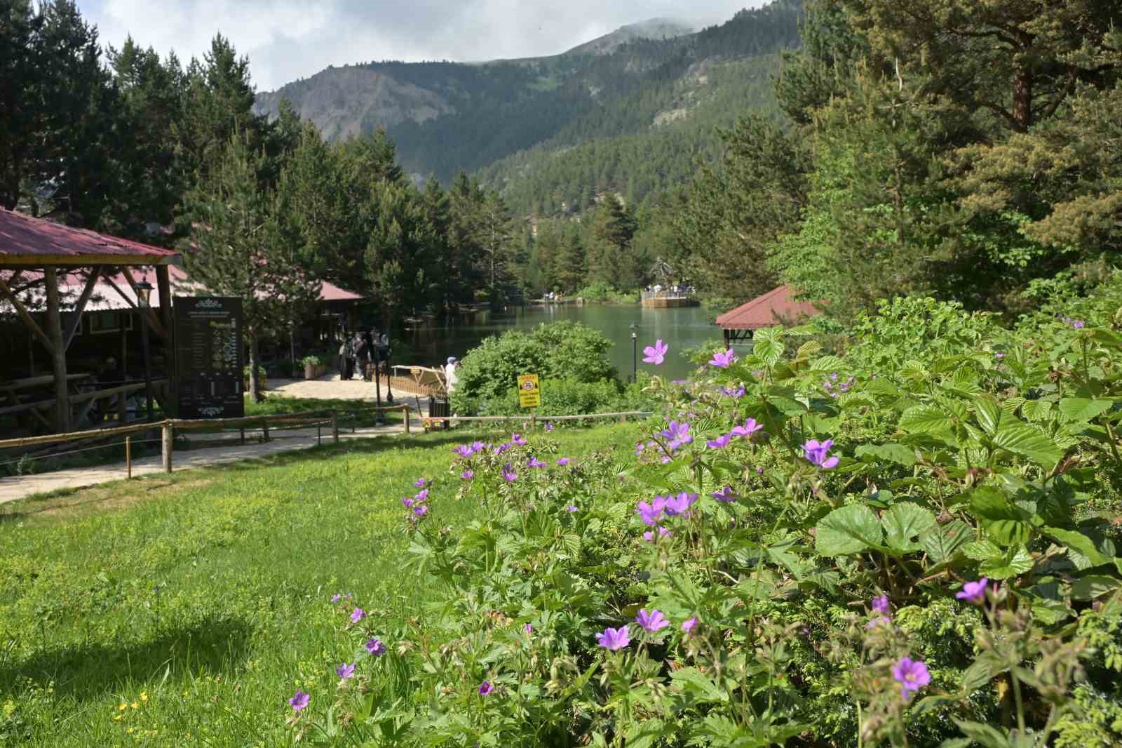 limni golu tabiat parki yaz ortasinda ziyaretcilerini sis ve serin havayla karsiliyor 3 t59PdKVn