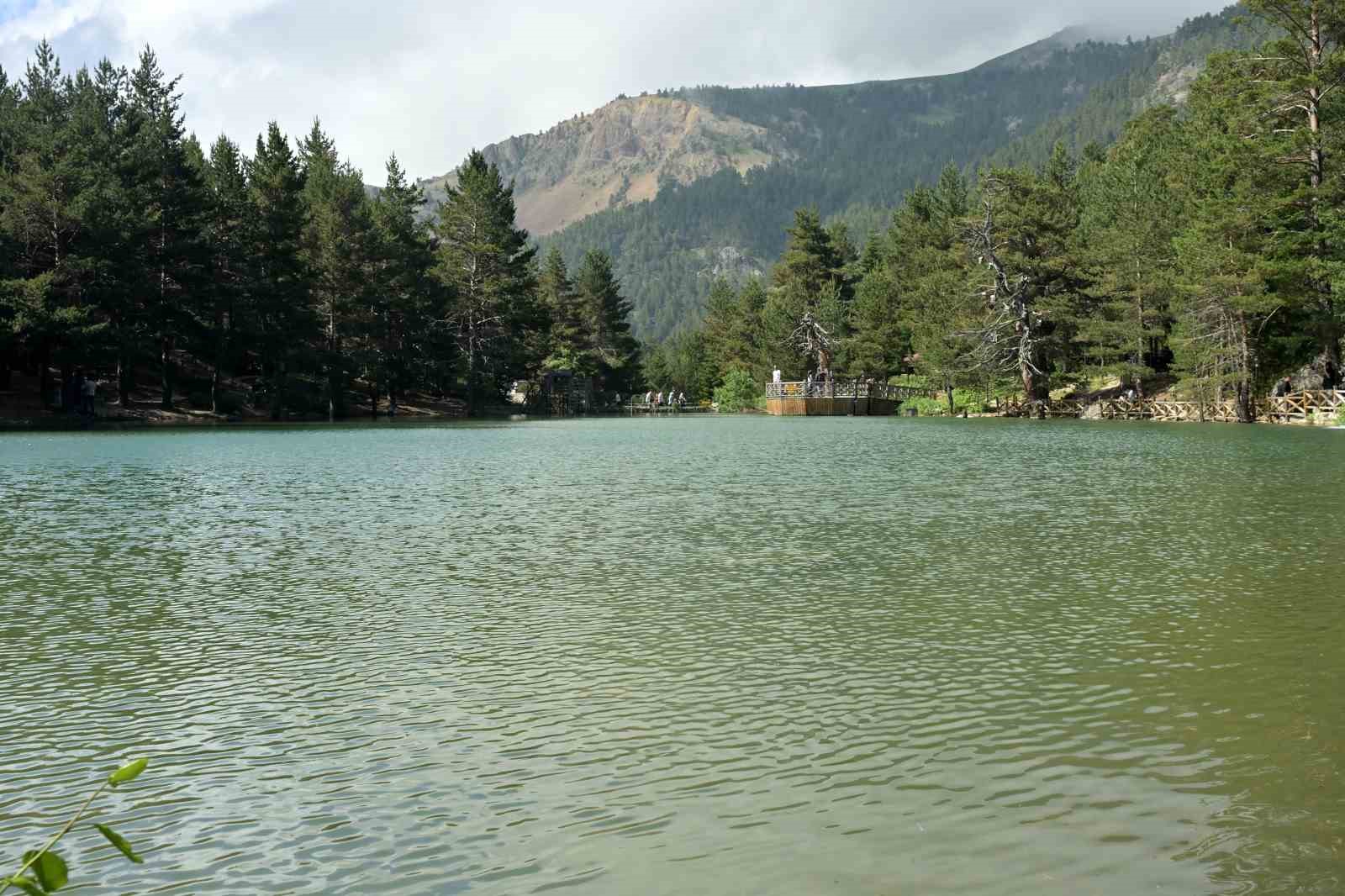 limni golu tabiat parki yaz ortasinda ziyaretcilerini sis ve serin havayla karsiliyor 4