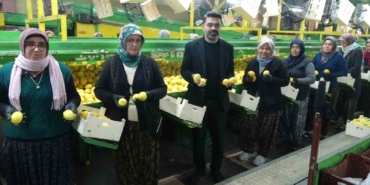 limonda-hasat-sonu-kadinlarin-yogun-mesaisi-suruyor-P2IMpDjG.jpg