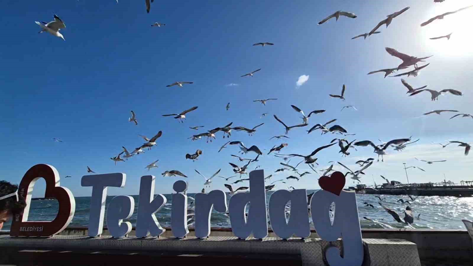 lodos tekneleri hapsetti 6