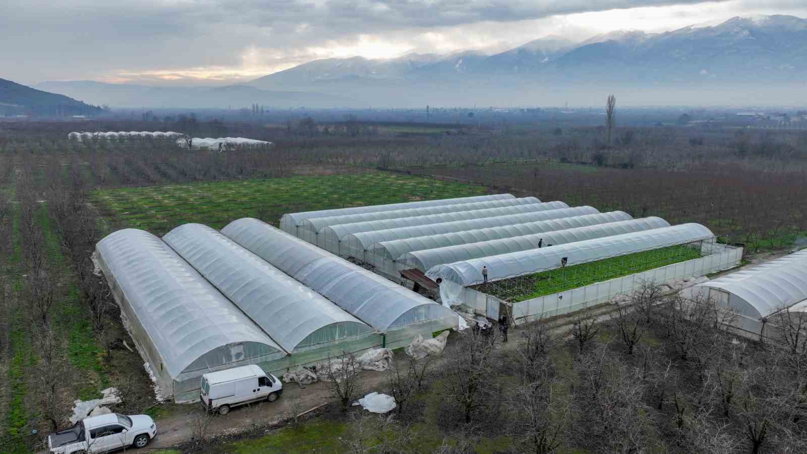 lodostan zarar goren seralara buyuksehir destegi 4 tFT9XnGB