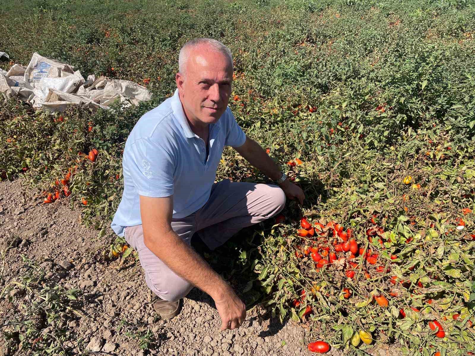 londrada kazandiklariyla memleketine toprak yatirimi yapti 0 nEiYwF7q