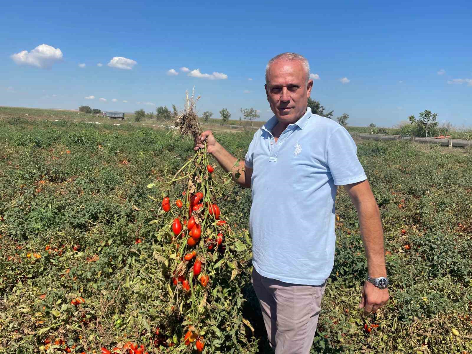 londrada kazandiklariyla memleketine toprak yatirimi yapti 1 SlYhmZnS