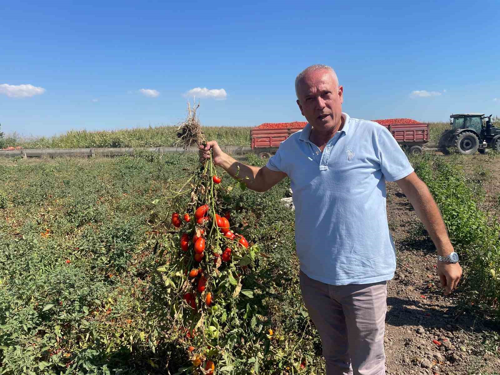 londrada kazandiklariyla memleketine toprak yatirimi yapti 2 ILN9yEYG