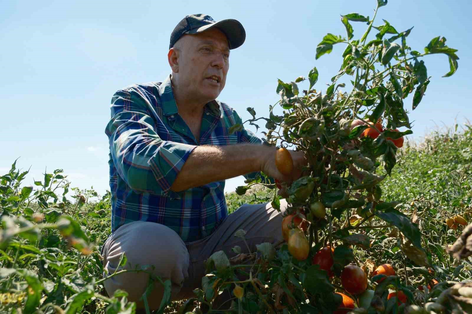 londrada kazandiklariyla memleketine toprak yatirimi yapti 4