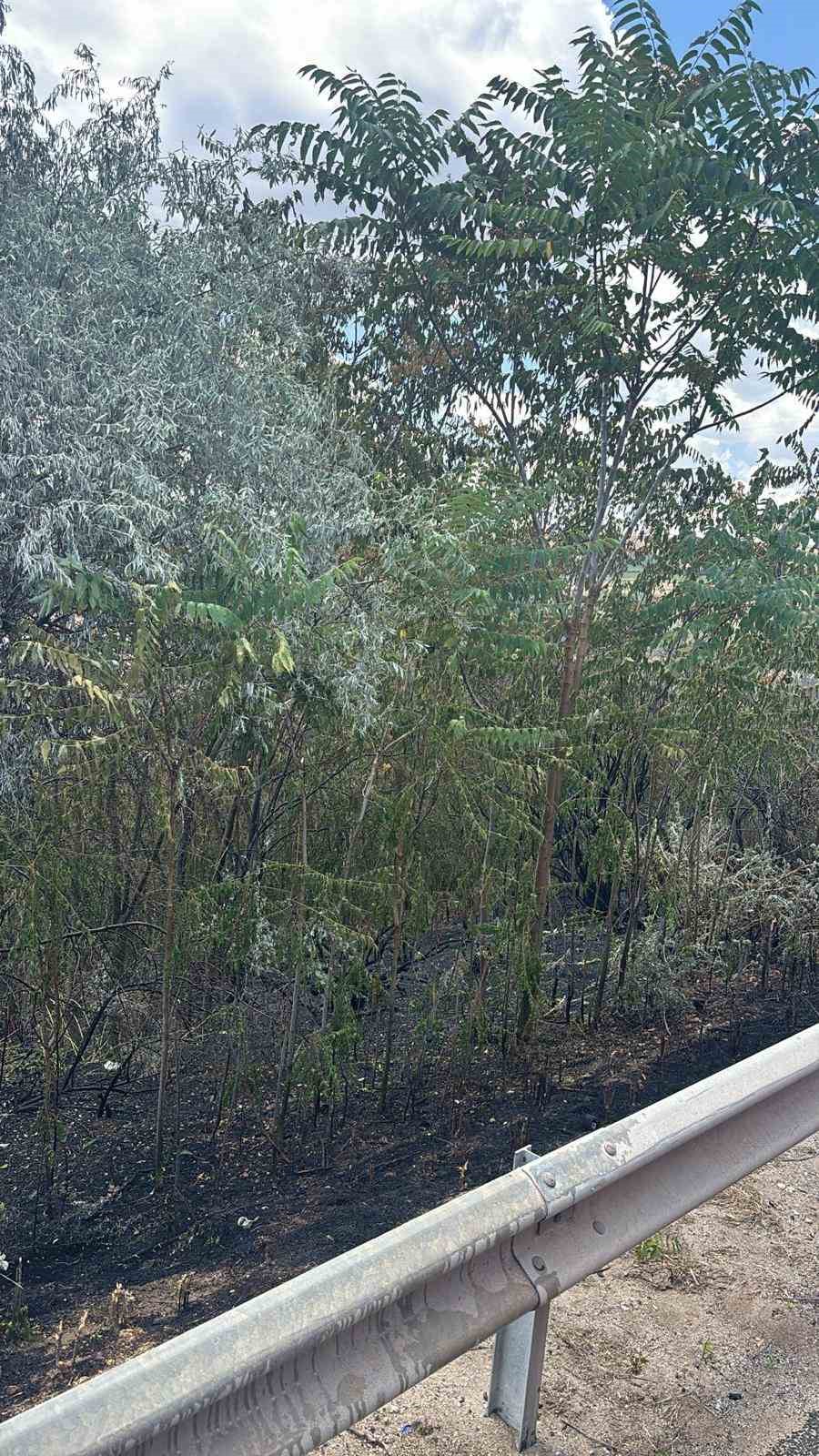 luleburgazda otluk alan yangini tarim arazisine sicradi 1 wNXchsFA