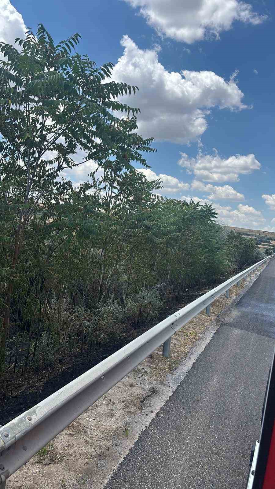 luleburgazda otluk alan yangini tarim arazisine sicradi 2 CIzHqSBz