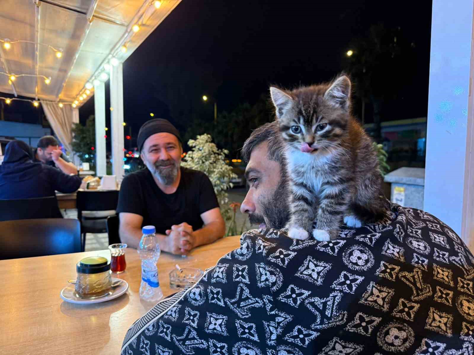 madde bagimliligindan yavru kedi sayesinde kurtuldu 0 2Dn2iSGn