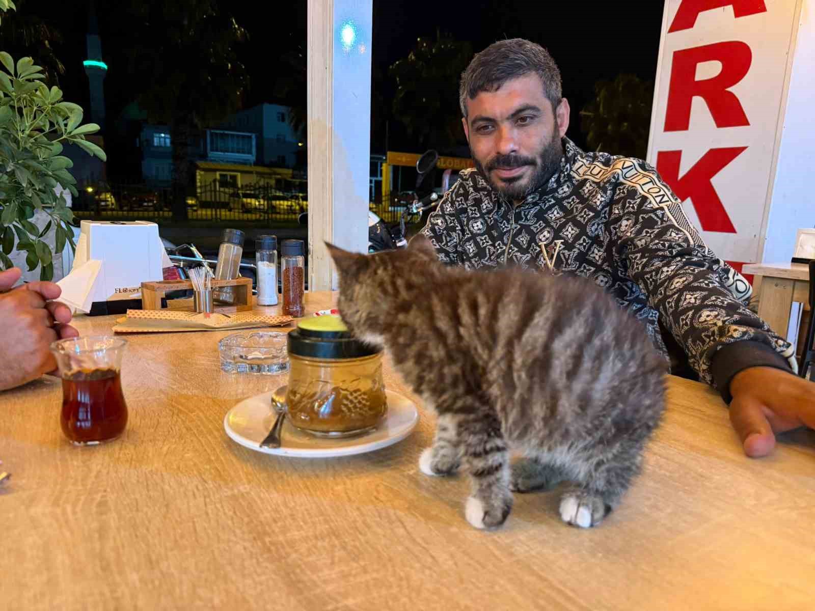madde bagimliligindan yavru kedi sayesinde kurtuldu 3 e2GHnL4t