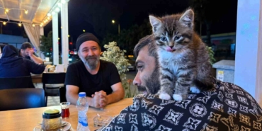 madde-bagimliligindan-yavru-kedi-sayesinde-kurtuldu-FzU2YIt2.jpg