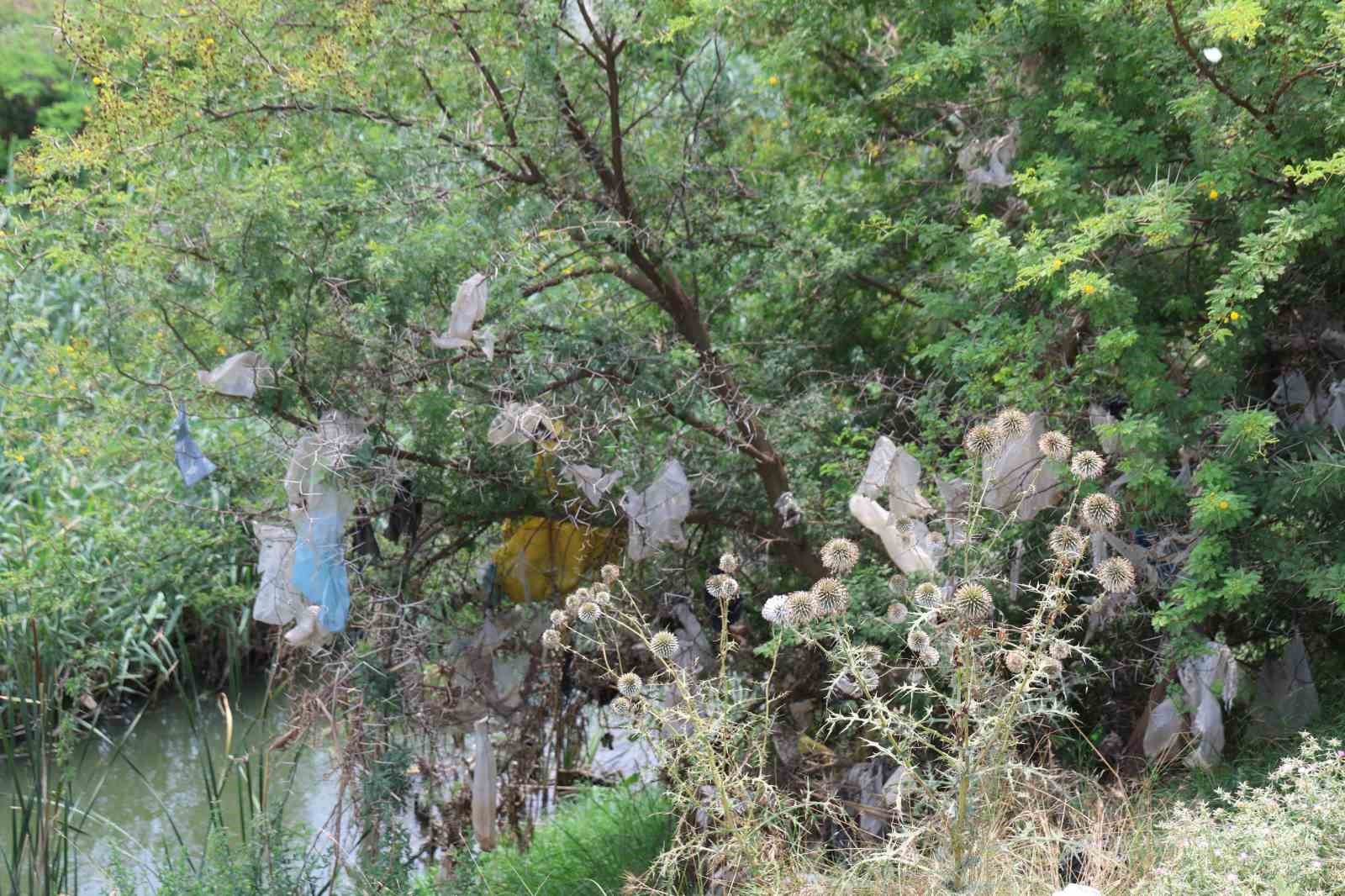 mahalle sakinleri isyan etti koku ve dumandan nefes alamiyoruz 7 lKepIk9Q