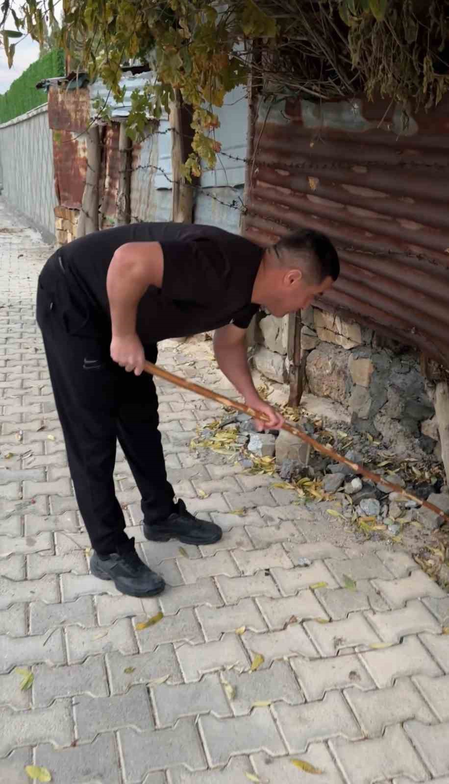 mahallelinin korkulu ruyasi olan yilan 3 gunluk nobet sonrasi yakalandi 4