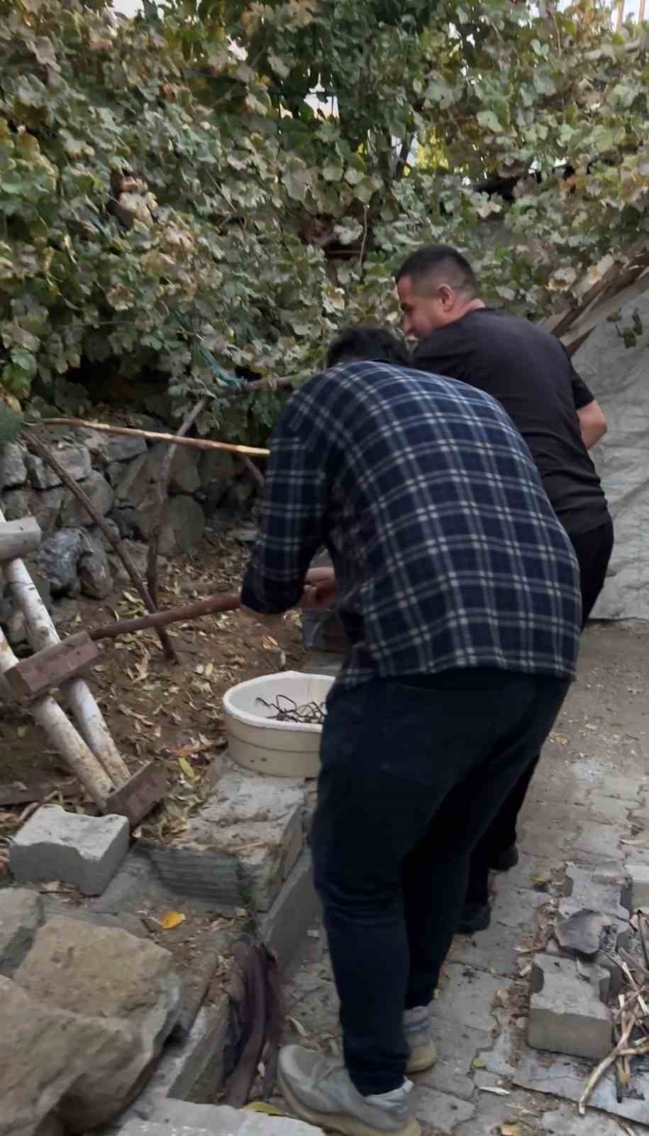 mahallelinin korkulu ruyasi olan yilan 3 gunluk nobet sonrasi yakalandi 5 gAyc8LDf