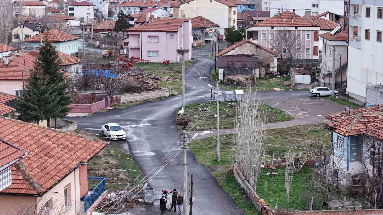 mahallenin maskotu oldular baharla birlikte yuvalarina donduler 0 ZQ8wMqJC