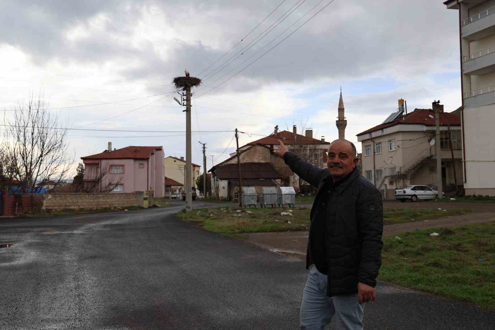 mahallenin maskotu oldular baharla birlikte yuvalarina donduler 5 6iCFIIPv
