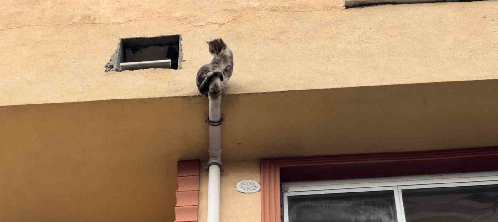 mahsur kalan kedi icin yatak tasiyip battaniye gerdiler 2 mlLh4eJU