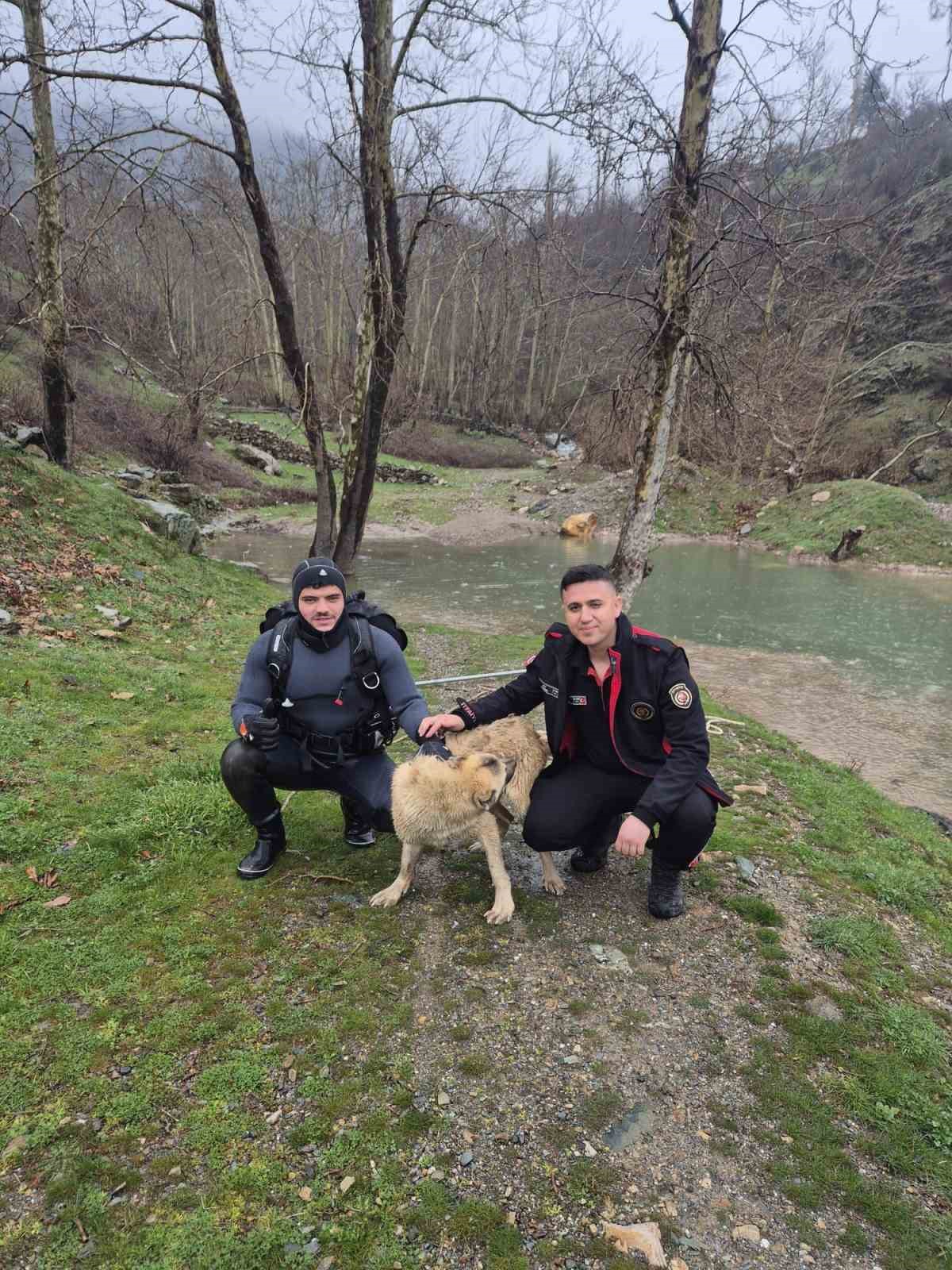 mahsur kalan kopegi itfaiye ekipleri kurtardi 1 MIDSOVzX