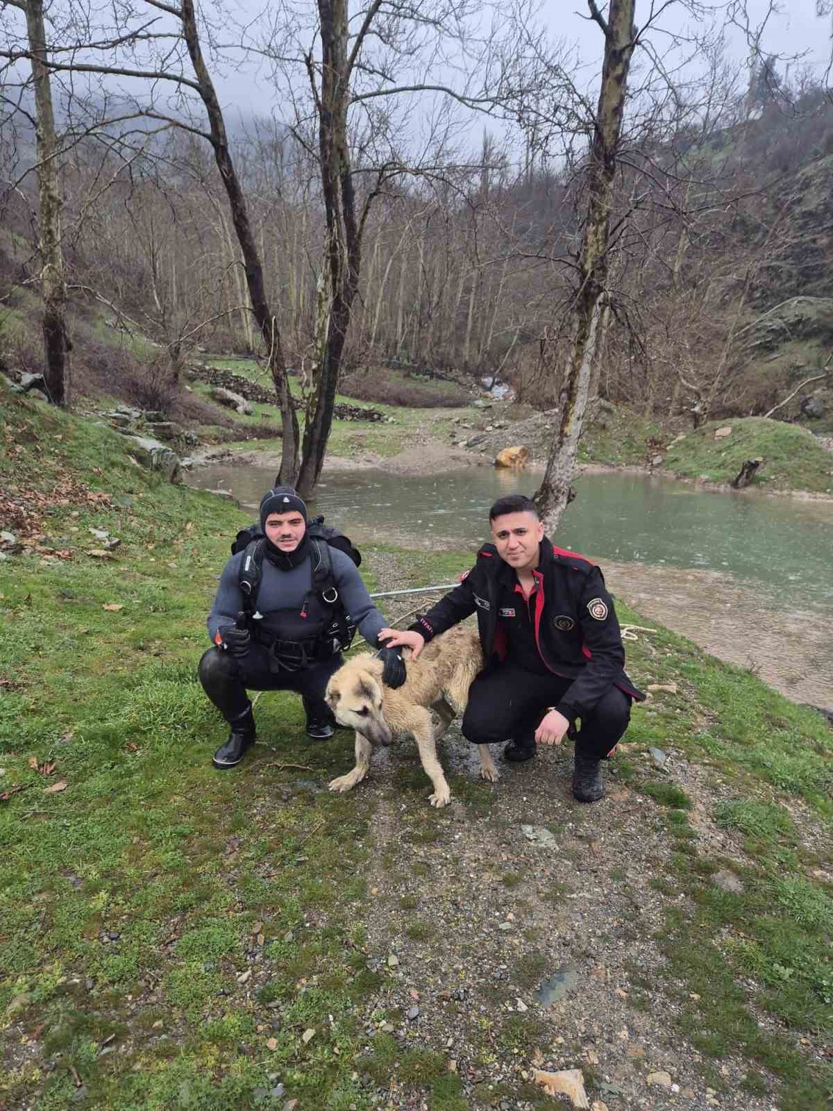 mahsur kalan kopegi itfaiye ekipleri kurtardi 2 QHNe8HhZ