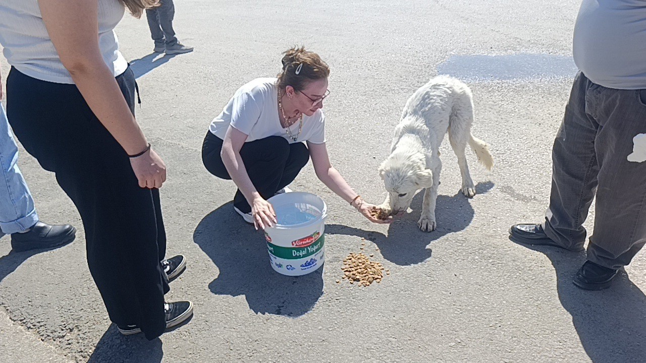 Mahsur kalan köpeğin sesini sadece o duydu, kurtarıldığında gözyaşlarına boğuldu 7 mahsur kalan kopegin sesini sadece o duydu kurtarildiginda gozyaslarina boguldu 3 gK3lSv5i