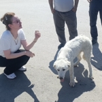 mahsur-kalan-kopegin-sesini-sadece-o-duydu-kurtarildiginda-gozyaslarina-boguldu-3jDE9ZHj.jpg