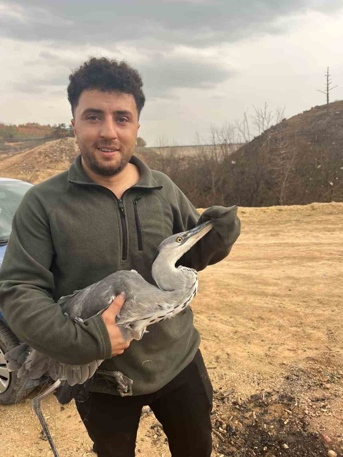 mahsur kalan mavi balikcil kusunu doga gezisine cikan gencler kurtardi 1 YMKbUBuZ