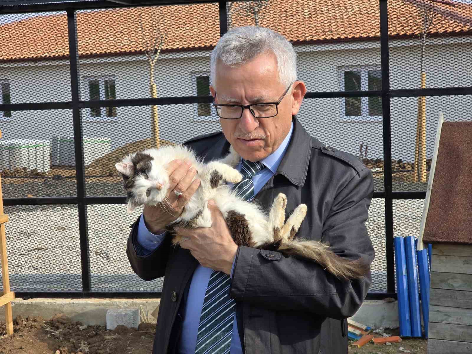 makaminda kedi besleyen baskan arslan hayvan dostu projeleriyle de ornek oluyor 4 aCAmW7WE