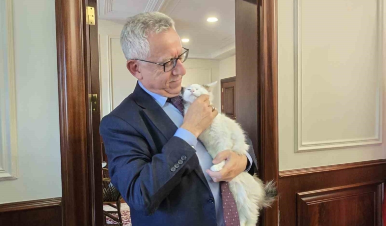 makaminda-kedi-besleyen-baskan-arslan-hayvan-dostu-projeleriyle-de-ornek-oluyor-ekS2iFzz.jpg