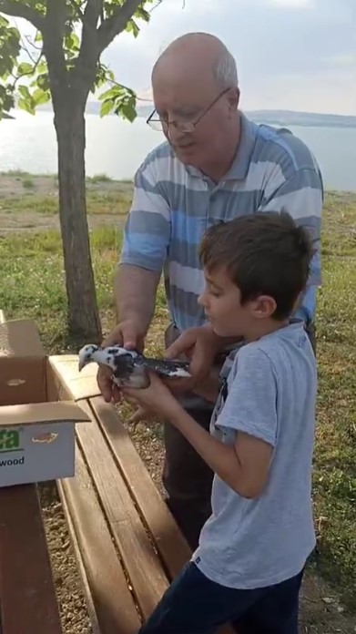 Makas atarak ilerlediği iddia edilen otomobilin sebep olduğu cinayet gibi kazanın tutanağı pes dedirtti 13 makas atarak ilerledigi iddia edilen otomobilin sebep oldugu cinayet gibi kazanin tutanagi pes dedirtti e839VJmX