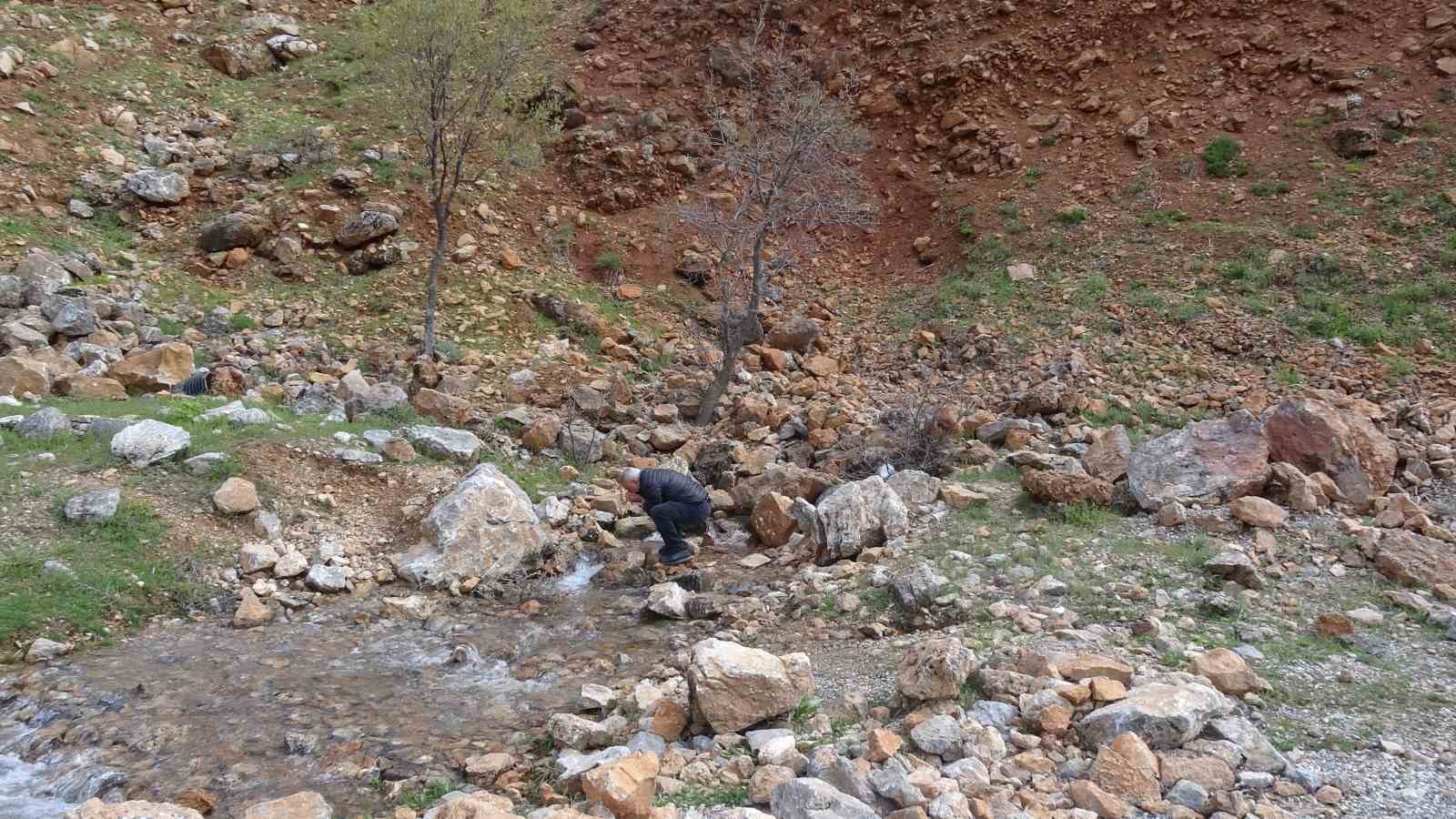 malatya suya doydu 3