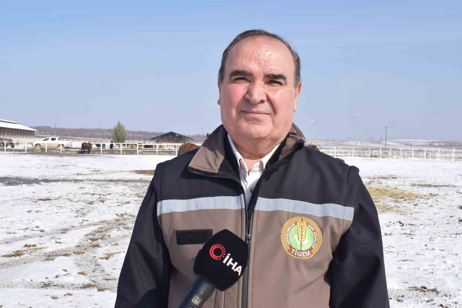 malatyada 2026 sampiyon adayi taylar dunyaya gelmeye basladi 2 UvOh6PJg