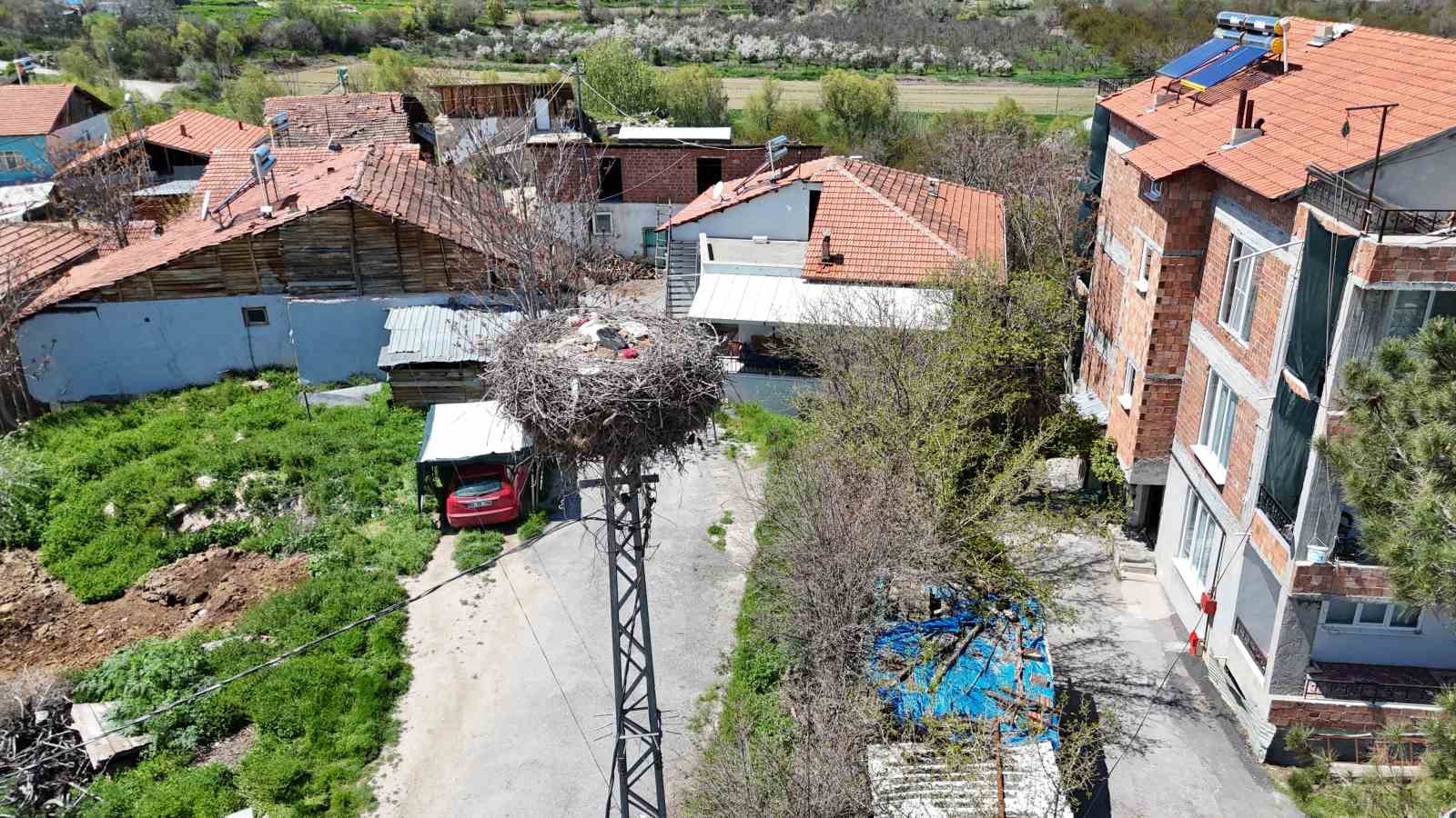 malatyada baharin mujdecisi leylekler yuvalarina donuyor 4 HvDvjbpW