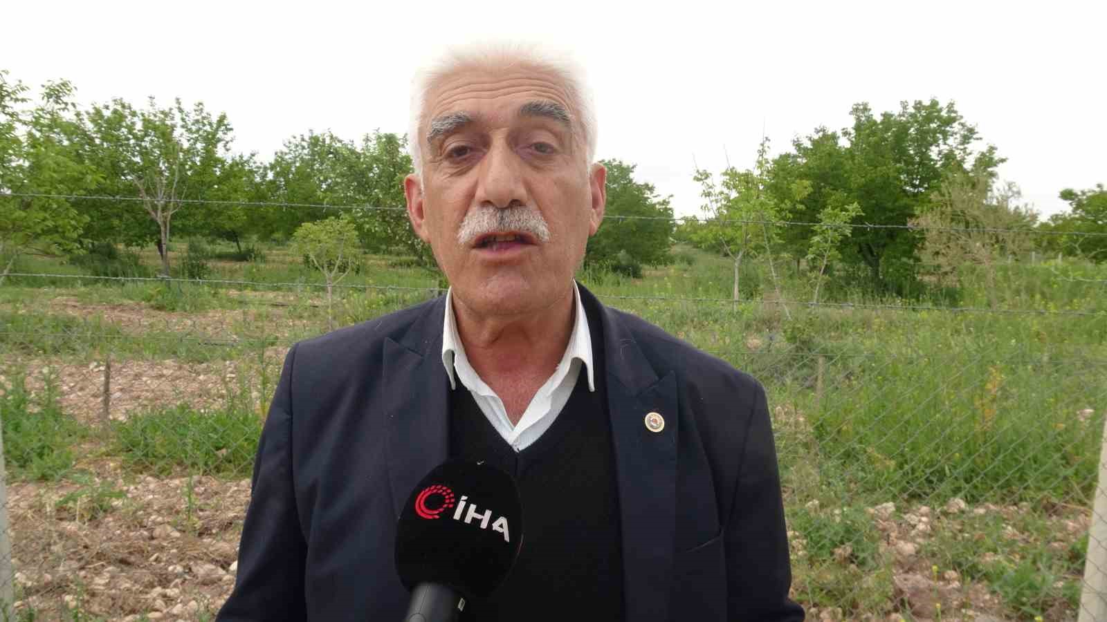 malatyada dalbasti kirazi ve diger meyve turlerinde umutlu tablo 2 DyAKXydu
