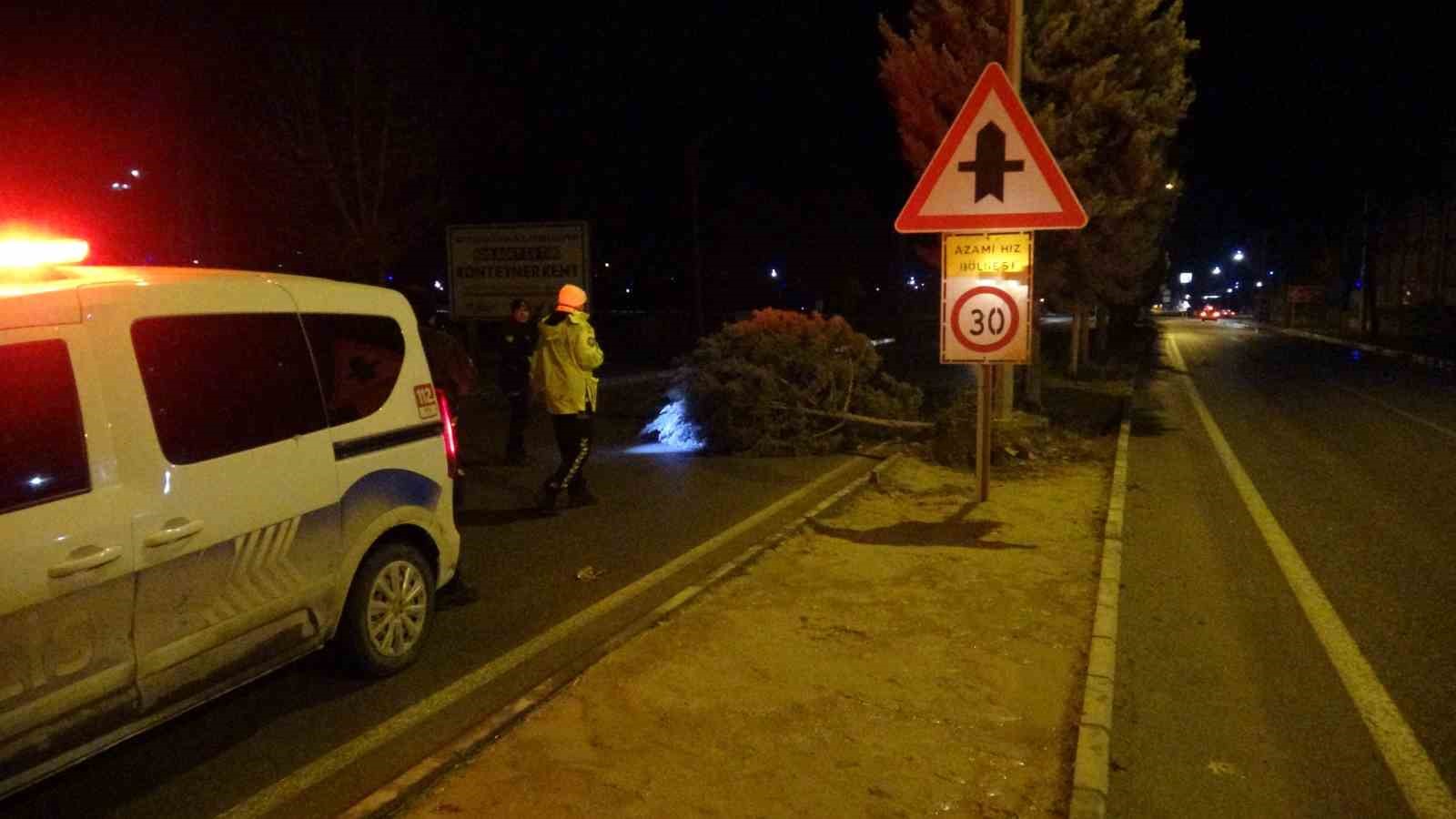 malatyada firtina agaclari kokunden soktu 0 M1STUKwG